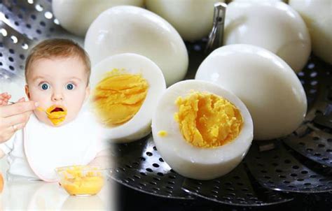 bebeklere yumurta sarısı tarifleri